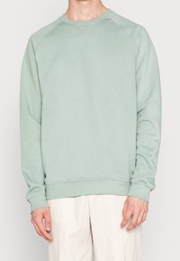 Felpa verde chiaro realizzata in tessuto morbido, con scollo a girocollo, maniche raglan, polsini a coste e un design semplice e senza cuciture.