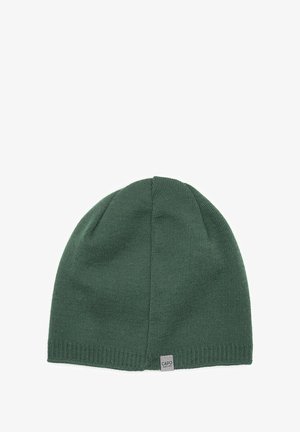 Green knitted beanie with a smooth texture, designed with a rounded crown and a folded ribbed cuff, featuring a small label at the side.
