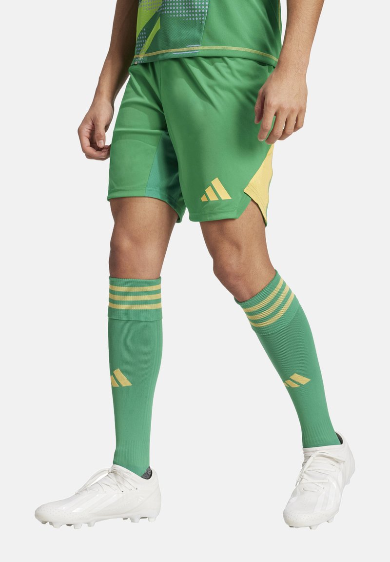 Pantaloni sportivi verdi con dettagli gialli, abbinati a calze verdi fino al ginocchio con strisce gialle e scarpette da calcio bianche.