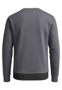 Grauer Pullover mit glatter Textur, Rundhalsausschnitt, langen Ärmeln und geripptem schwarzen Saum. Die Rückansicht zeigt keine zusätzlichen Details oder Grafiken.