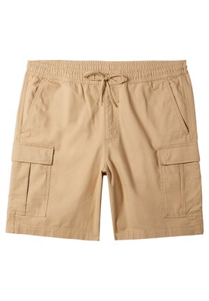 Quiksilver TAXER - Shorts - cjz