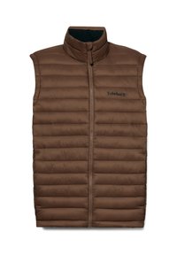 AXIS PEAK DURABLE WATER REPELLENT - Vest - brown