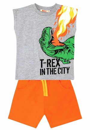 SET - Shorts - mehrfarbig