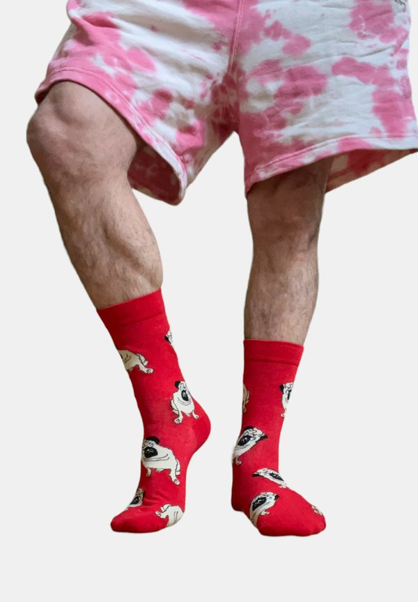 2-PACK PUGS 39-44 EU - Socken - mixed