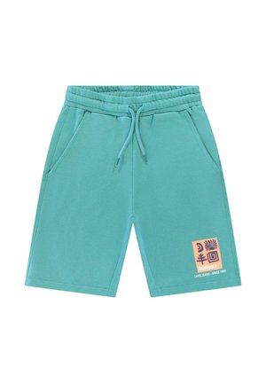 Cars Jeans STREZA  - Trainingsbroek - mint