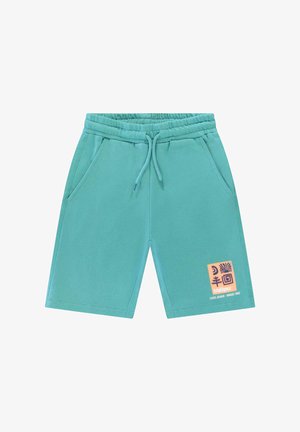 Cars Jeans STREZA - Trainingsbroek - mint