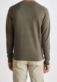 Olivgrüner gestrickter Pullover mit strukturierter Musterung, langen Ärmeln und geripptem Saum. Von hinten getragen mit hellbeigen Hosen.