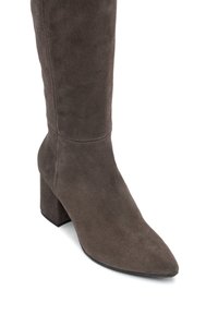 Stivale grigio in suede alto fino al ginocchio con punta appuntita e tacco spesso. Presenta cuciture minime e una texture liscia.