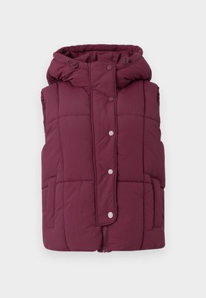 JDY JDYWONDER SHORT HOOD - Vest - fig