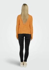 ONLY ONLLOLLI NOOS - Jumper - Russet Orange