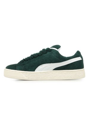 Puma HAIRY - Zapatillas - ponderosa pine frosted ivory