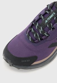 Adidas Terrex ANYLANDER - Chaussures de marche - aurora plum/core black/trace brown