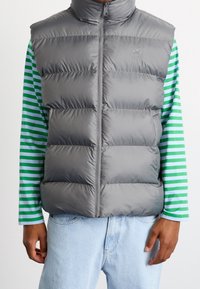 Grå vadderad väst med hög krage och framdragkedja, med en logo på bröstet. Bärs över en långärmad grön- och vitrandig skjorta.