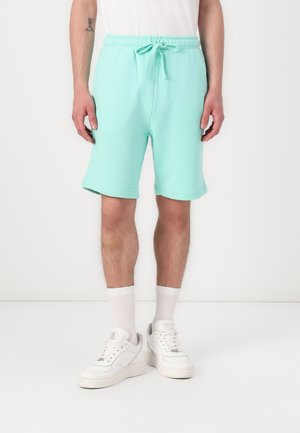 Shorts - aquamarine