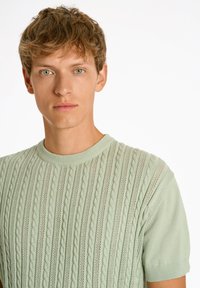 Vaaleanvihreä neulottu neulepaita, jossa on kuvioitu palmikkoneulos ja lyhyet hihat, pyöreä pääntie ja suunniteltu istuvuus.