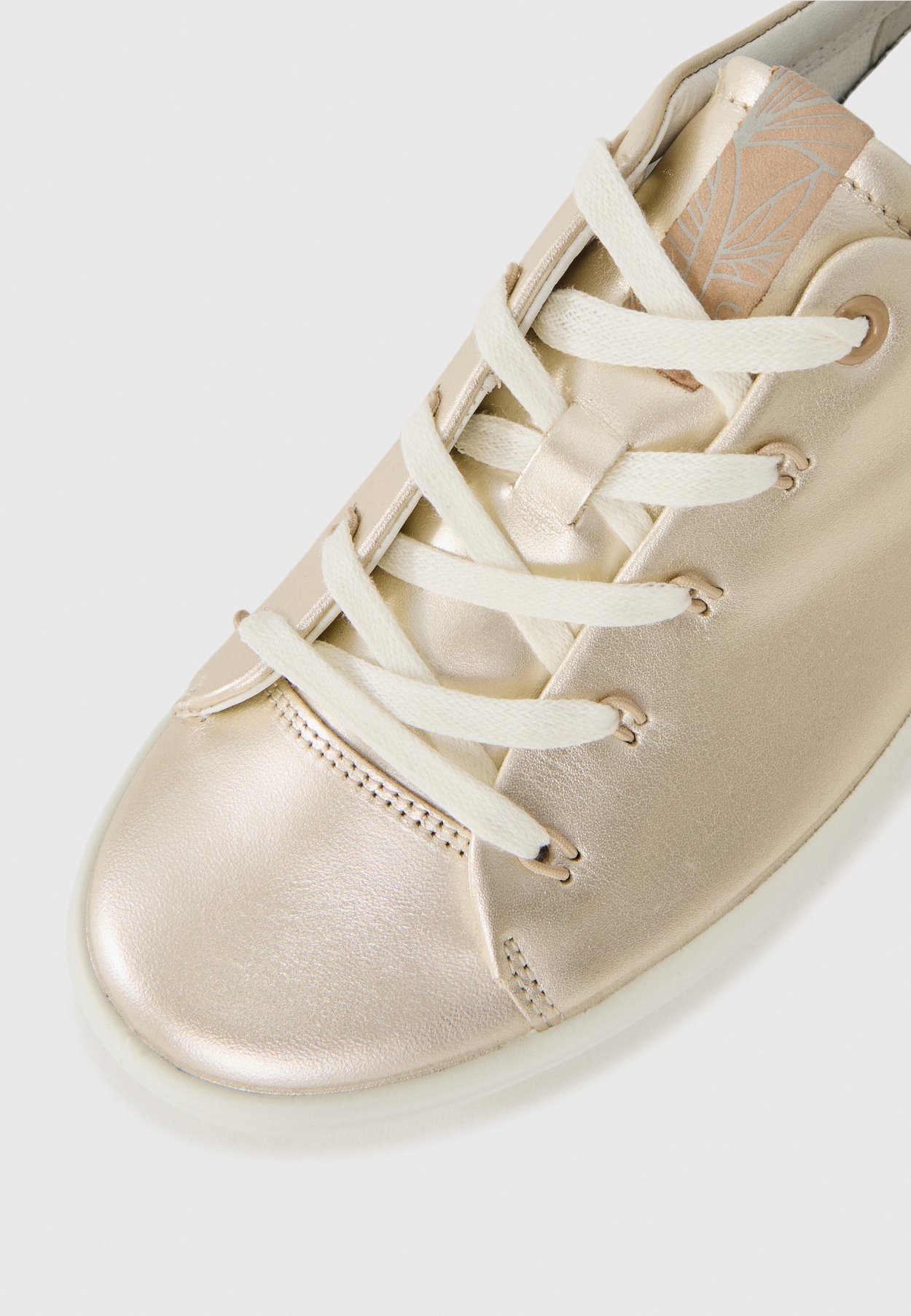 SOFT 7