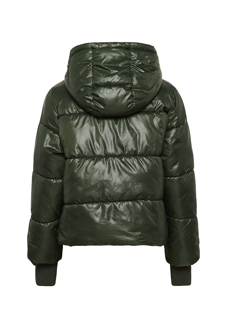 Dunkelgrüne, glänzende Daunenjacke mit gepolstertem Kapuzen und gerippten Bündchen, von hinten gezeigt.
