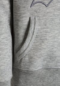 Polo Ralph Lauren HOOD - Luvtröja - grey
