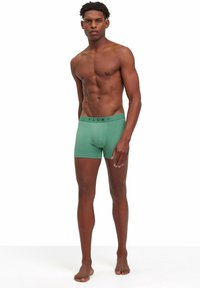 Grüne Baumwoll-Boxershorts mit einem markierten Bund, in einem körperbetonten Design und mittellanger Beinlänge. Glatte Textur und einfarbig.
