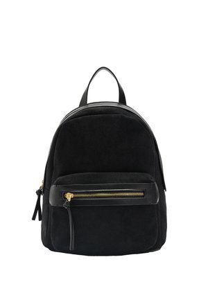 Czarny zamszowy mini plecak z przednią kieszenią na zamek, złotym suwakiem i górnym uchwytem na białym tle.