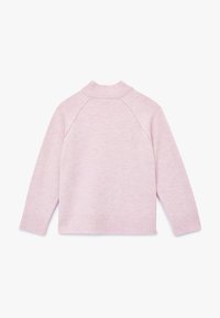 Maglione rosa chiaro con collo alto, polsini e orlo a costine. Realizzato in un materiale morbido, presenta maniche raglan e una consistenza liscia.