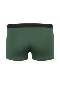Boxer da uomo verdi con un elastico nero in vita, realizzati in un tessuto liscio, caratterizzati da un design semplice e un colore uniforme senza motivi.