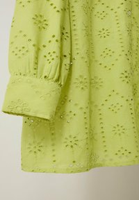 Blusa ricamata verde chiaro con maniche a sbuffo, caratterizzata da motivi floreali e dettagli ad occhio di pernice. Tessuto liscio, con dettagli a bottoni.