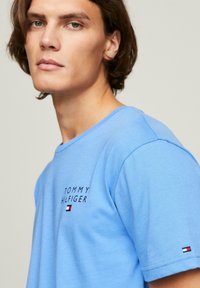 T-shirt in cotone azzurro chiaro con maniche corte, con la scritta "TOMMY HILFIGER" ricamata in nero e un piccolo logo sul maniche.