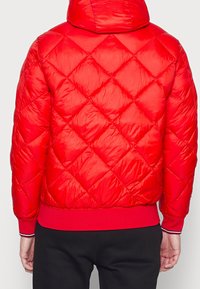 Tommy Hilfiger Vinterjakker - red