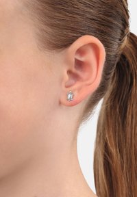 Orecchino a forma di tartaruga in argento con dettagli intricati, su uno sfondo di una tonalità di pelle chiara. L'orecchino presenta una finitura metallica lucida.
