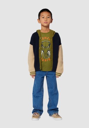 Cardigan en tricot à manches longues avec blocage de couleurs vert, marine et beige ; t-shirt vert avec graphique d'éléphant ; jeans bleus amples ; baskets à motifs.