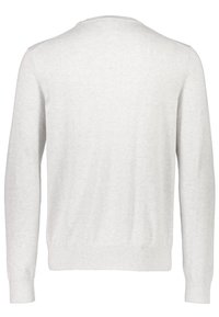 Lichtgrijze trui, ronde hals, lange mouwen, ribgebreide manchetten en zoom, zachte stof, met een gladde textuur en een minimalistisch ontwerp, geen zichtbare patronen.