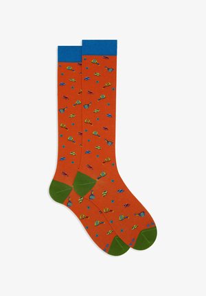 Calze al ginocchio con uno sfondo arancione, polsini blu e talloni verdi, caratterizzate da un motivo ripetuto di pesci colorati e forme.