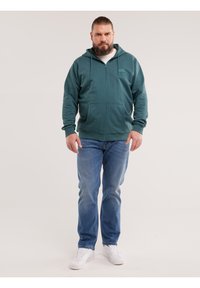 Vīrietis ar bārdu, tērpies zaļganzaļā džemperī ar rāvējslēdzēju, zilās džinsās un baltos sporta apavos, stāvot pret vienkāršu gaišu fonu.