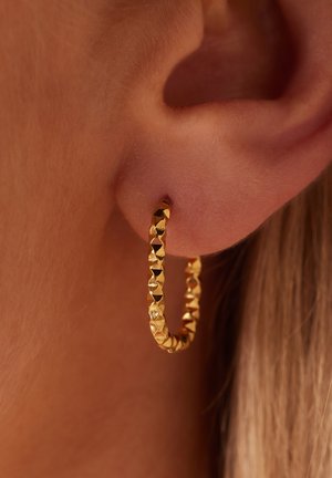 Lucardi Oorbellen - gold-coloured