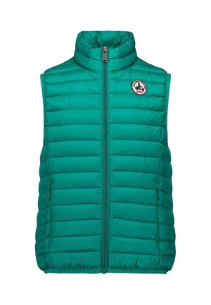 SANS MANCHES - Bodywarmer - vert