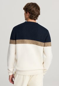 Mężczyzna ubrany w sweter w kolorze granatowym, brązowym i białym, pokazany z tyłu, stojący na jednolitym jasnym tle.