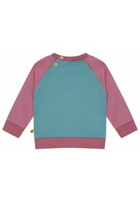 Trui met raglanmouwen in tealkleurig lichaam, mauve mouwen en bordeauxrode boorden. Twee houten knopen bij de kraag zorgen voor extra details.
