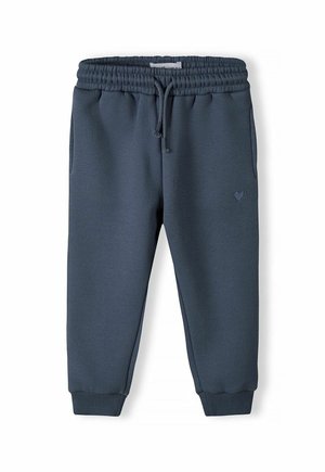 STANDARD - Pantalones deportivos - blue grey