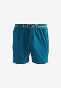 Next TEN PACK - Boxershorts - rich colour