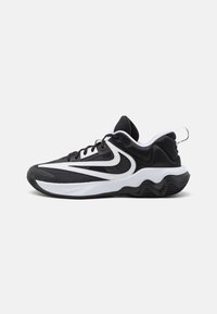 Nike Performance Chaussures de basket - black