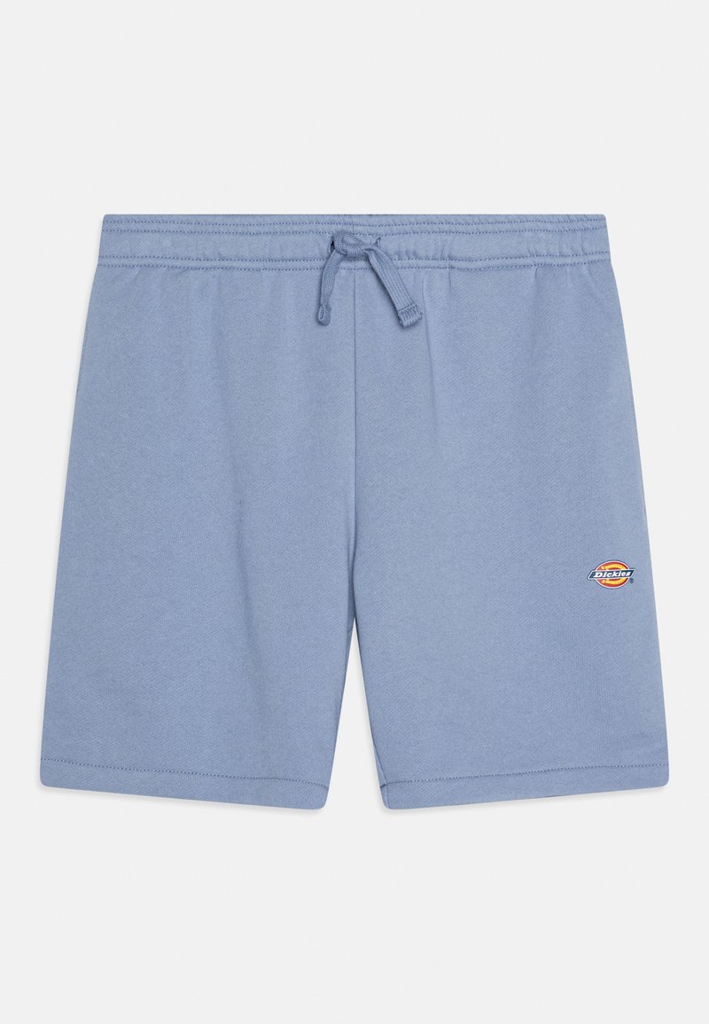 Dickies Trainingsbroek blauw