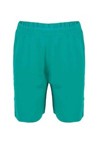 Turquoise elastic waistband shorts with a simple, smooth design and knee-length cut.