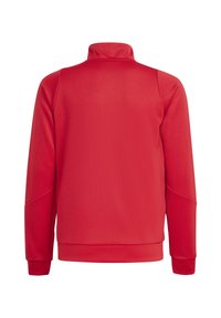 Roter Pullover mit hoher Kragen, langen Ärmeln und gerippten Bündchen und Saum. Glattes Gewebe mit leichter Textur.