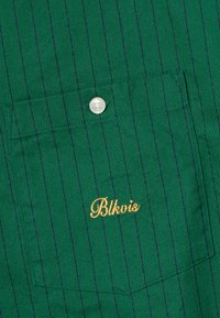 Camicia di tessuto verde con righe verticali navy, dotata di tasca e di un bottone bianco. "Blkvis" è ricamato in oro sulla tasca.