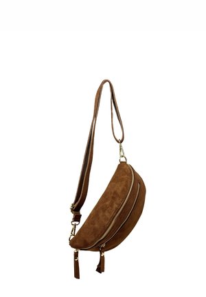 Borsa a tracolla in camoscio marrone con design curvo, dotata di due scomparti con cerniera e dettagli in oro. Tracolla regolabile con decorazioni a nappina.