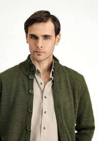 Green knitted cardigan with a high collar, button-front design, and ribbed accents. Worn over a light-colored collared shirt.