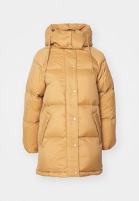 MID LENGTH JACKET - Manteau en duvet - cumin beige