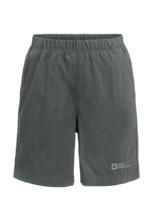 DESERT  - Korte broeken - slate green