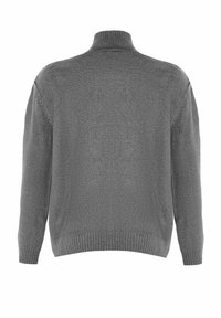 Pull en tricot gris foncé avec col roulé, manches longues, poignets côtelés et ourlet côtelé, vu de dos sur un fond blanc.